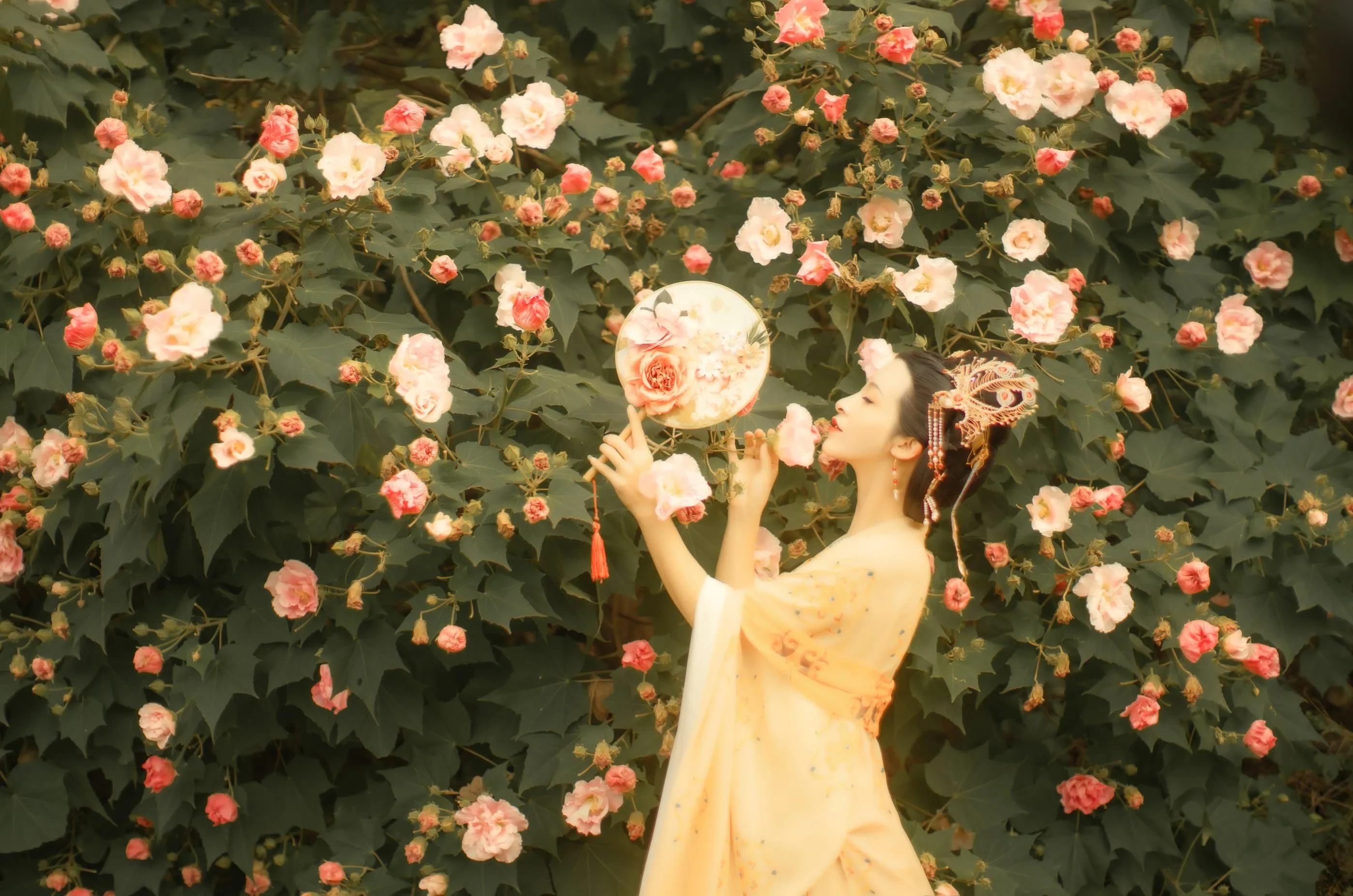 [YITUYU艺图语]2021.11.18 芙蓉词 修水凝花 [38P]插图2